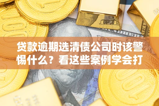 武汉贷款逾期选清债公司时该警惕什么？看这些案例学会打翻身仗