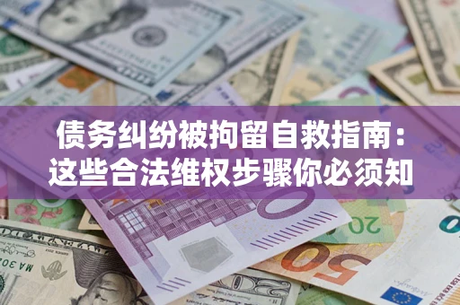 武汉债务纠纷被拘留自救指南：这些合法维权步骤你必须知道！