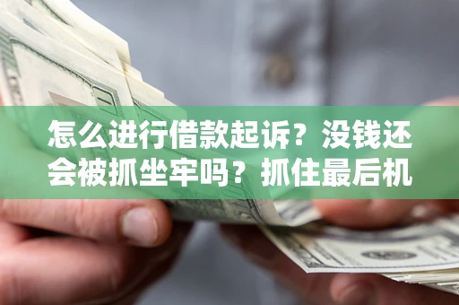 武汉怎么进行借款起诉？没钱还会被抓坐牢吗？抓住最后机会！