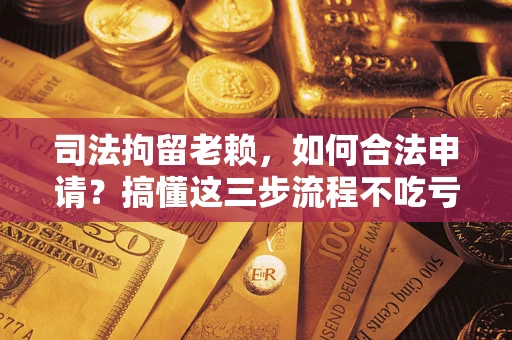 武汉司法拘留老赖，如何合法申请？搞懂这三步流程不吃亏！