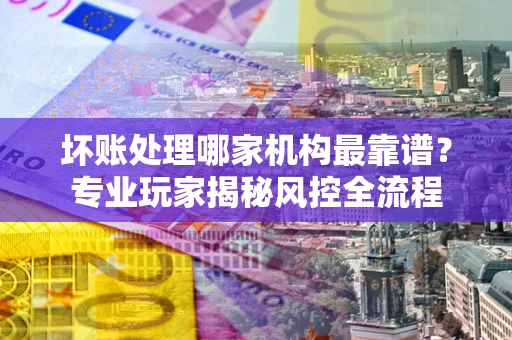 武汉坏账处理哪家机构最靠谱？专业玩家揭秘风控全流程