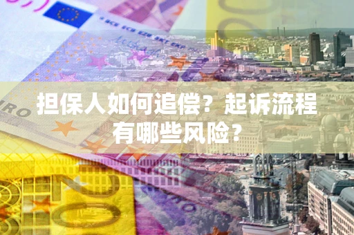 武汉担保人如何追偿？起诉流程有哪些风险？
