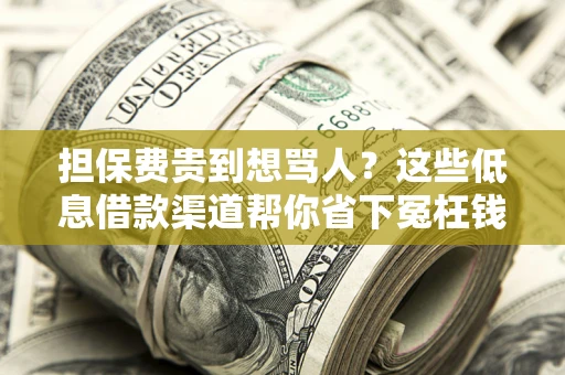 武汉担保费贵到想骂人？这些低息借款渠道帮你省下冤枉钱