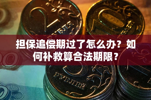 武汉担保追偿期过了怎么办？如何补救算合法期限？