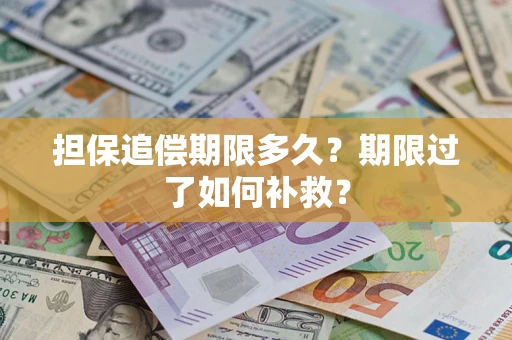 武汉担保追偿期限多久？期限过了如何补救？