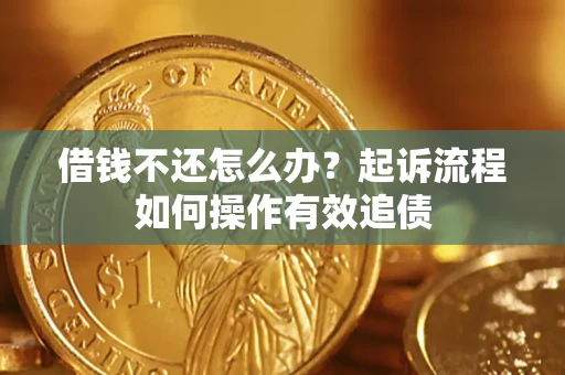 武汉借钱不还怎么办？起诉流程如何操作有效追债
