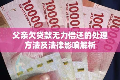 武汉父亲欠贷款无力偿还的处理方法及法律影响解析