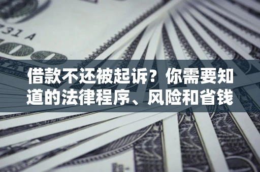 武汉借款不还被起诉？你需要知道的法律程序、风险和省钱技巧
