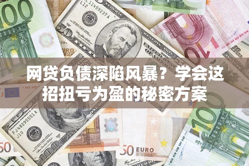 武汉网贷负债深陷风暴？学会这招扭亏为盈的秘密方案